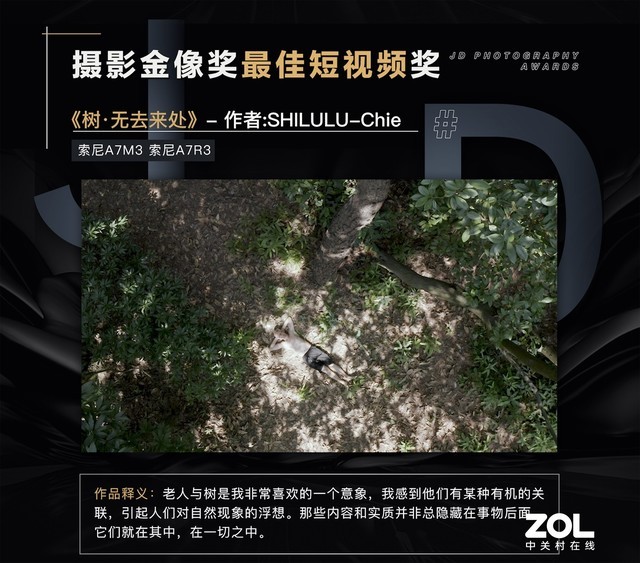 京东摄影金像奖落幕 佳能尼康等品牌荣获京东最佳合作伙伴奖 