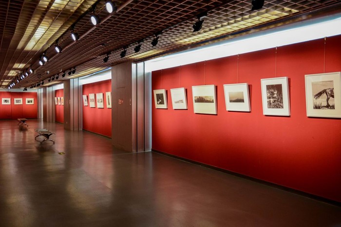 第十一届中国摄影金像奖摄影作品展