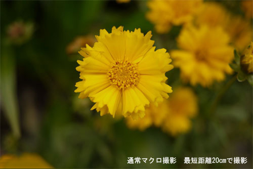 403a39324fbb6a0f.jpg