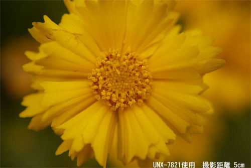 abe194653609cb0b.jpg