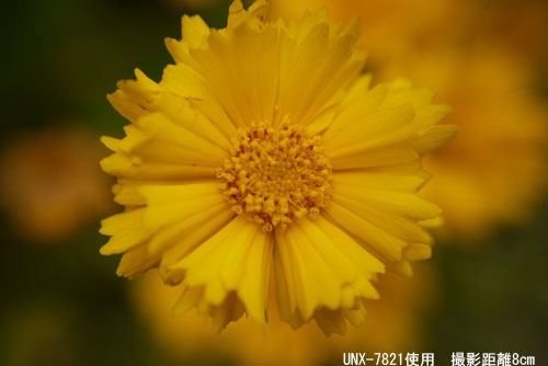 001410187.jpg