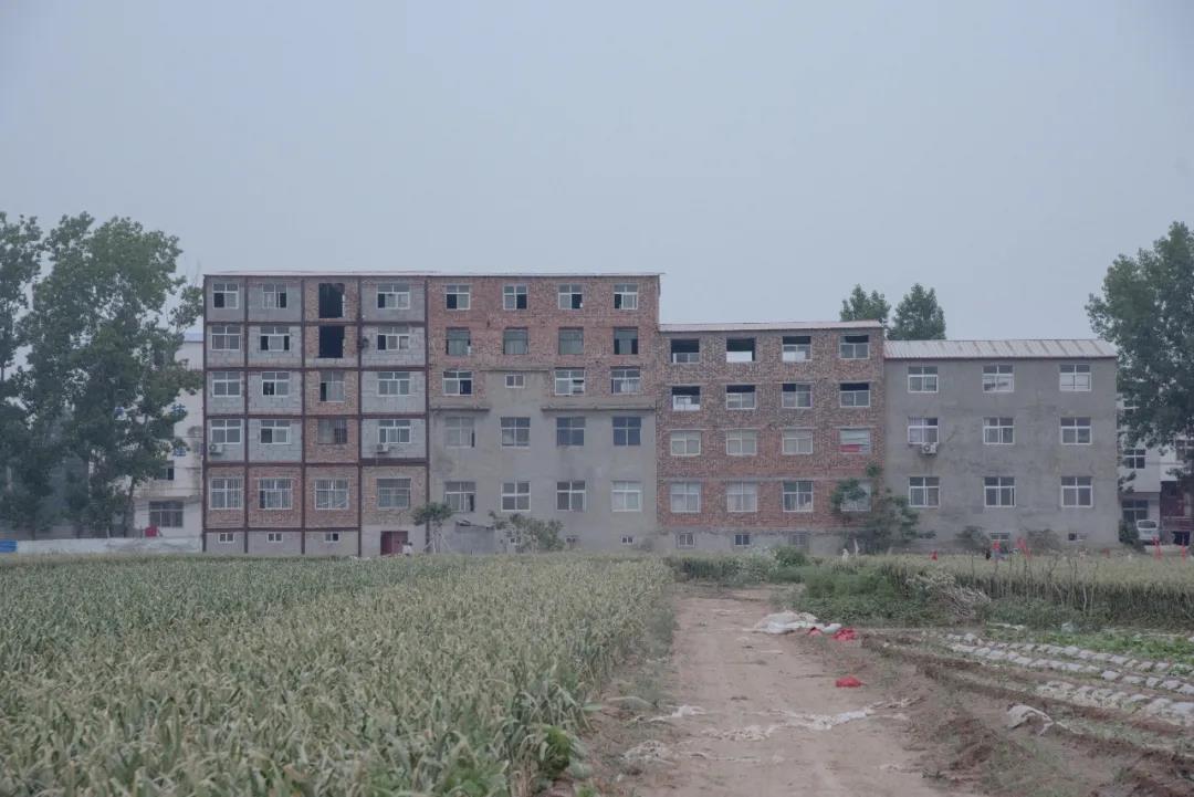13.jpg 13.jpg
