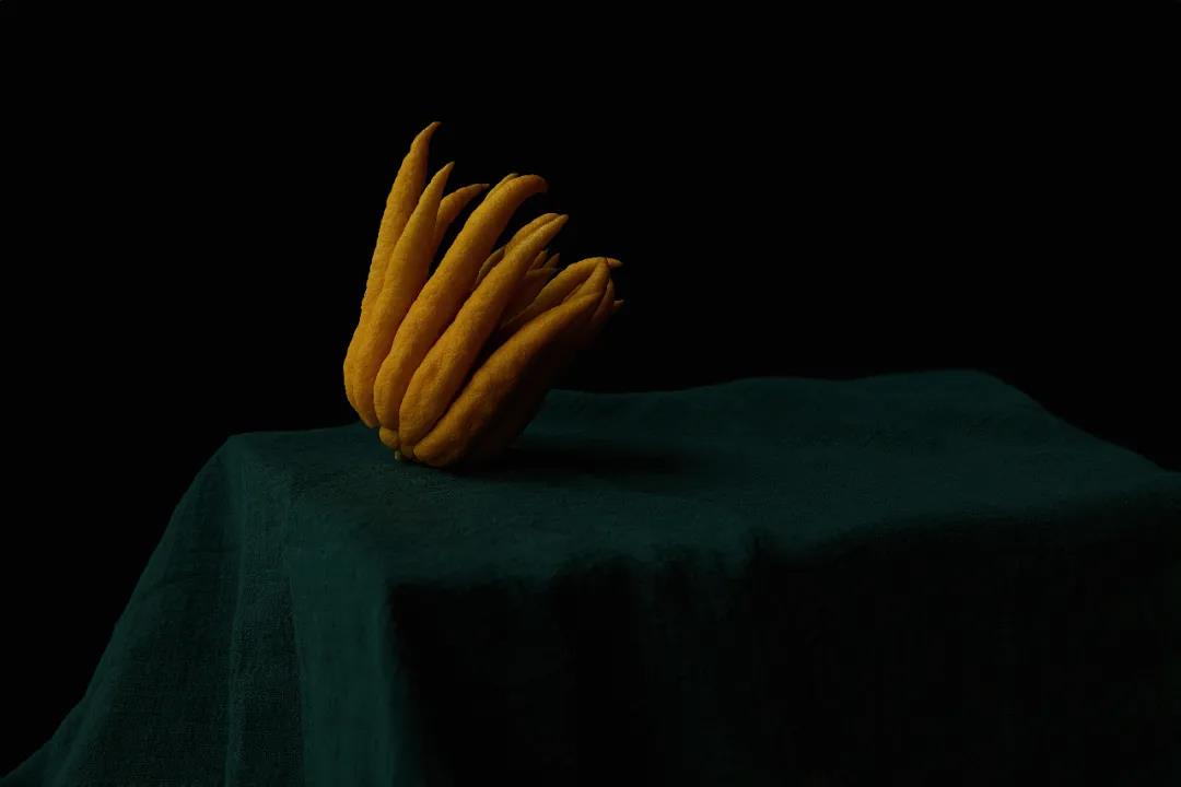 51.jpg