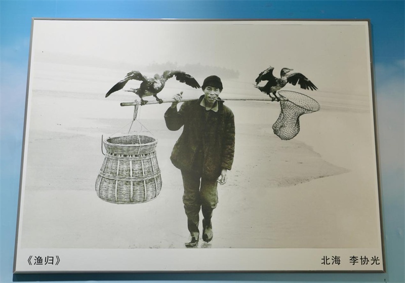 摄影展现场（央广网发 周燕摄）