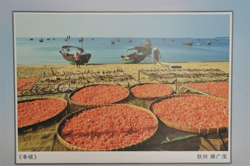 摄影展现场(央广网发 周燕摄)