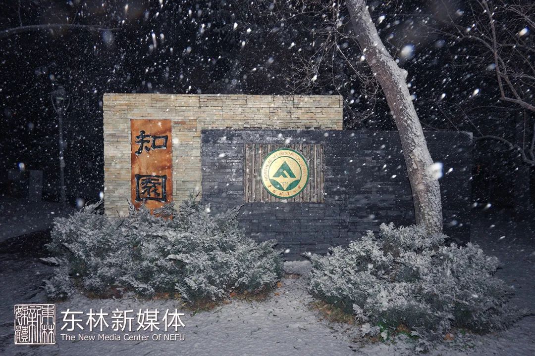 主楼下相拥着细雪砂砾