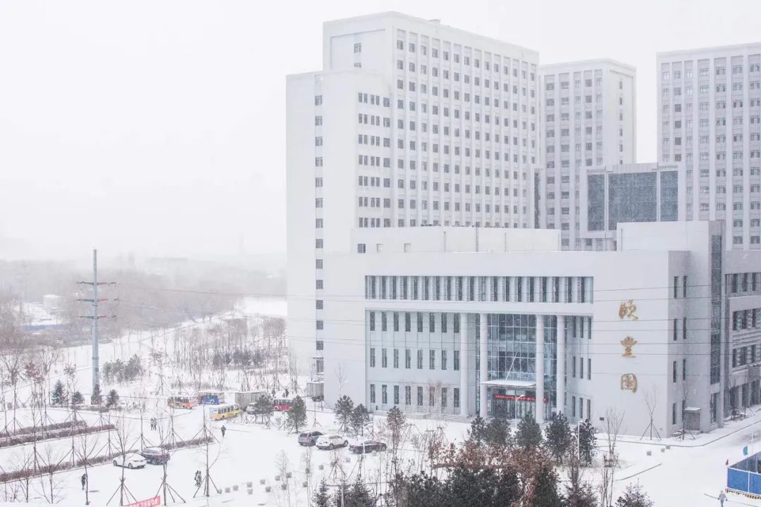 主楼下相拥着细雪砂砾
