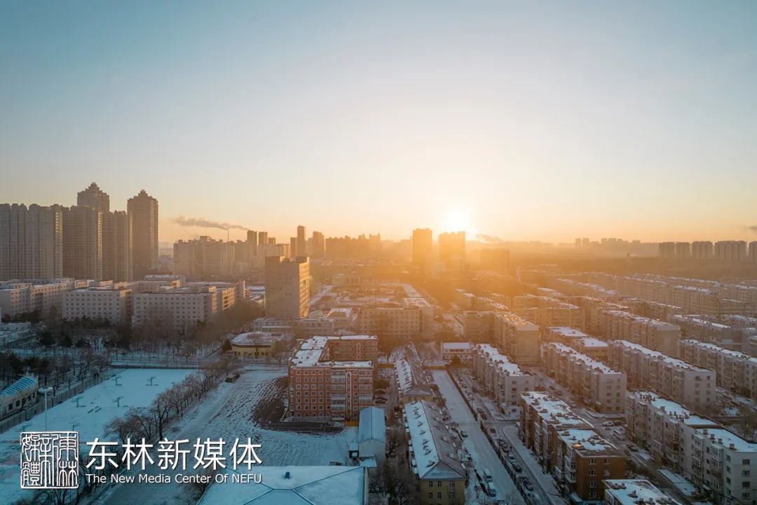 冰原覆林海 飞雪落巍楼