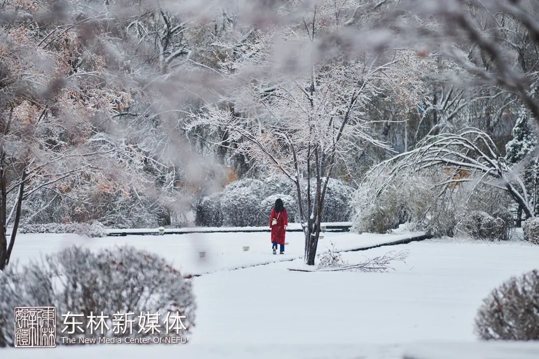 雪飘飘 夜寒寒