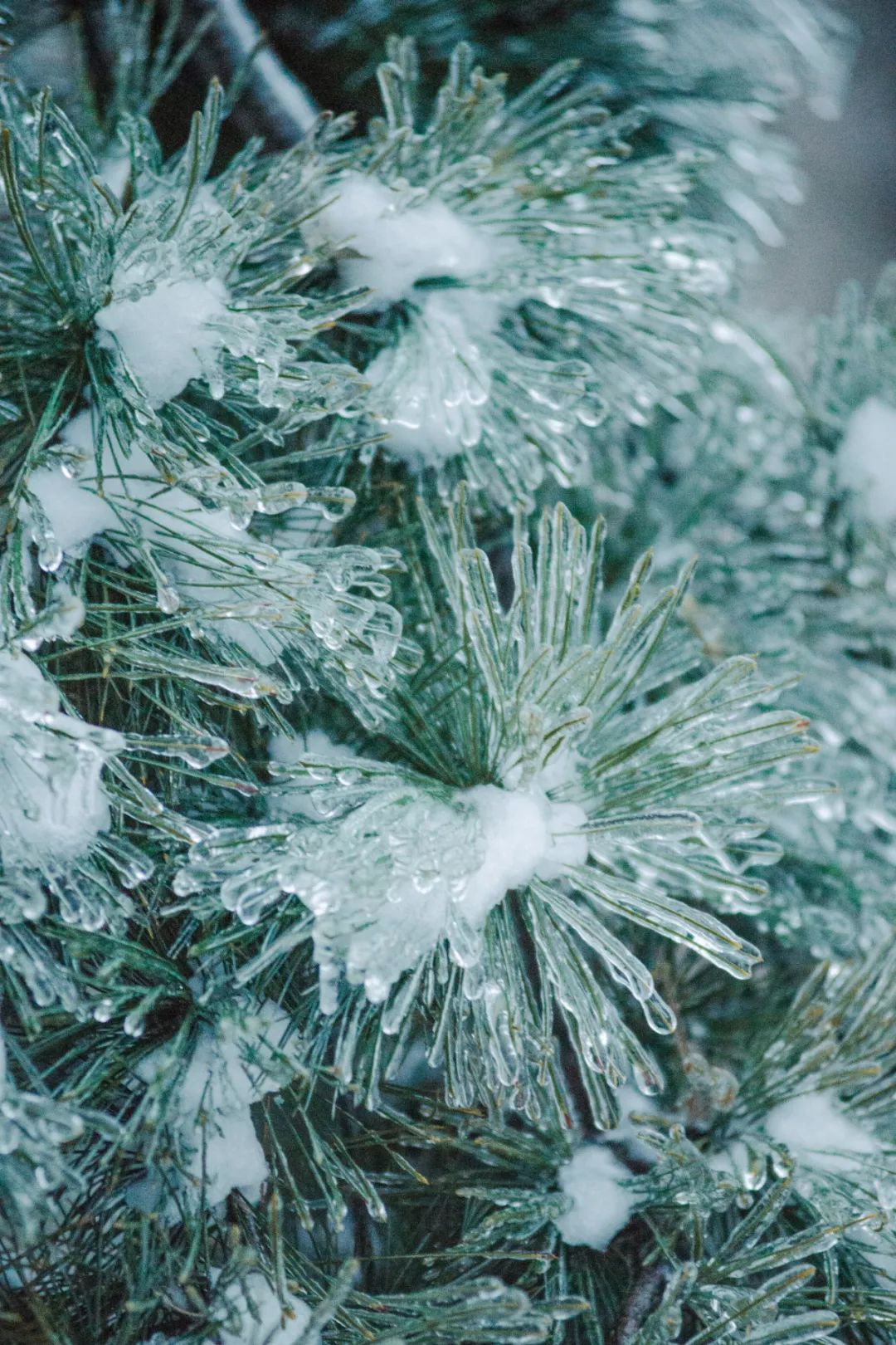 雪飘飘 夜寒寒