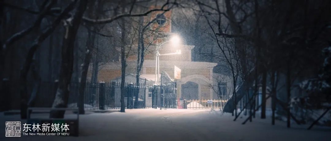 冰原覆林海 飞雪落巍楼