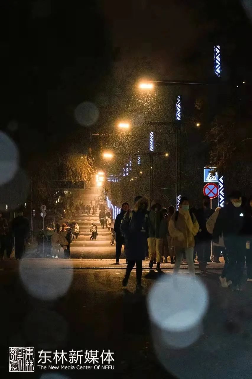 雪飘飘 夜寒寒