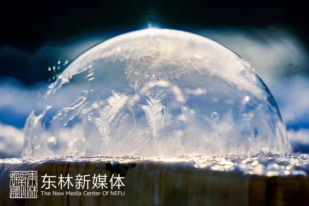 雪飘飘 夜寒寒