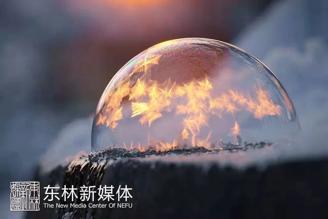 雪飘飘 夜寒寒
