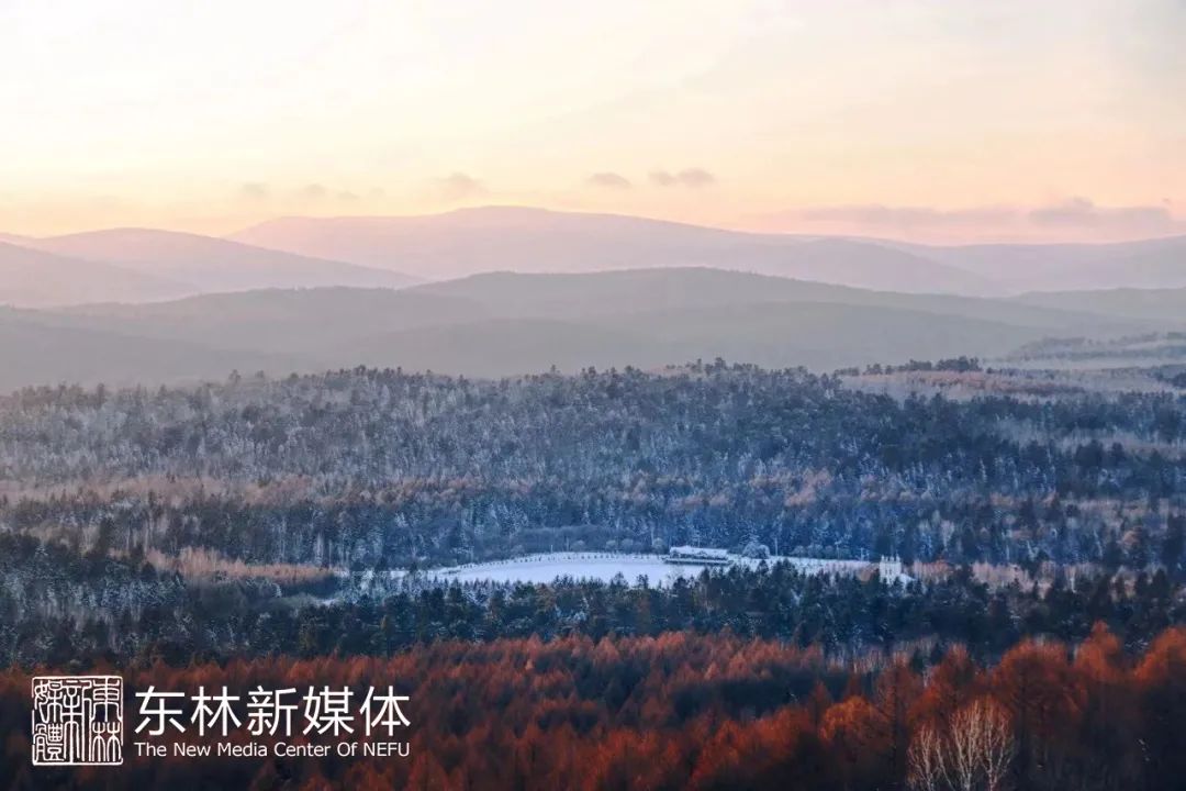 冰原覆林海 飞雪落巍楼