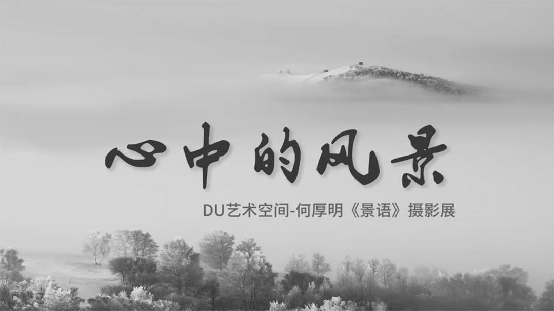 东方摄影｜资讯｜览万象