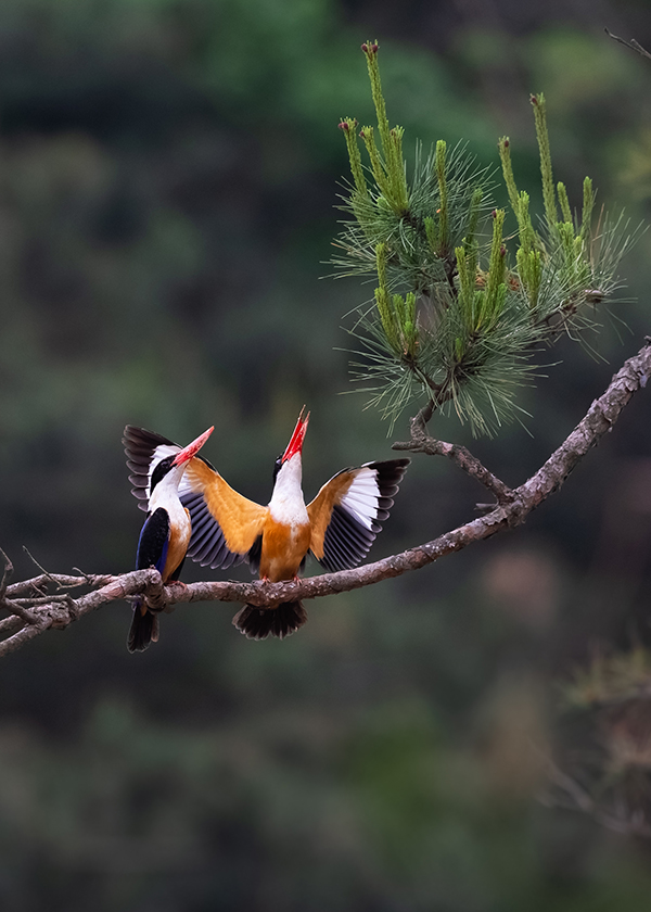 _DSC7449《我把我唱给你听》钱茜（小数码）.jpg