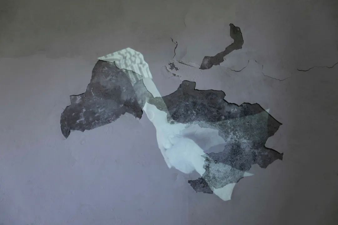 4243.jpg