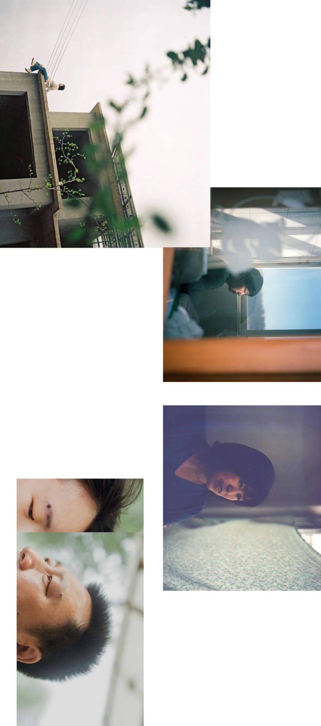 25.jpg