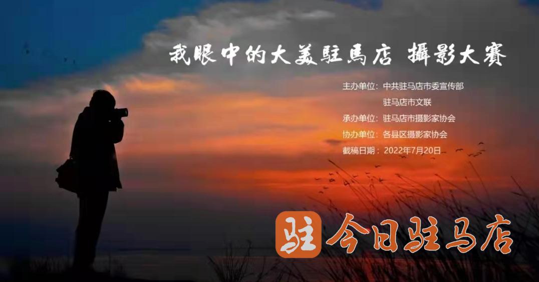taro_gerda_391_2002_464317_displaysize.jpg