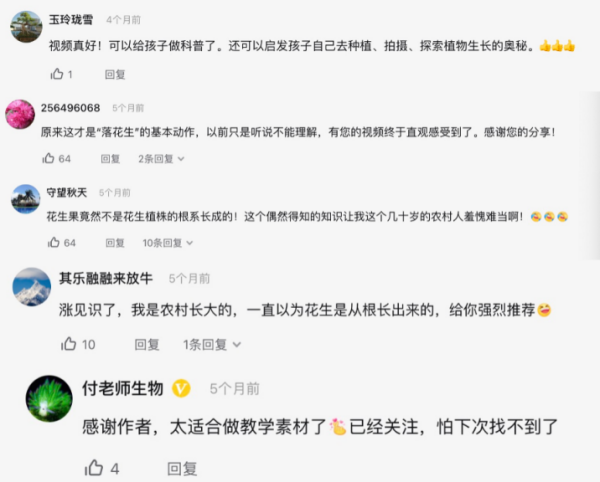 图片 6.png