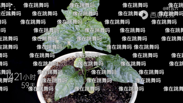 图片 7.png