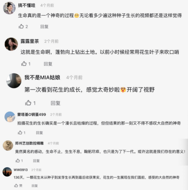 图片 3.png