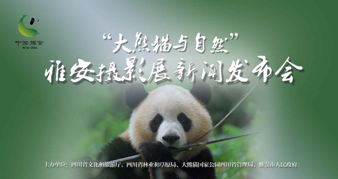 QQ浏览器截图20220327205137.png