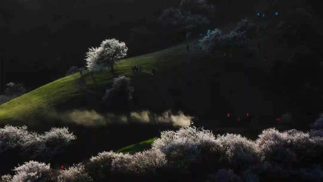 《晨光》 摄影： 肖志林
