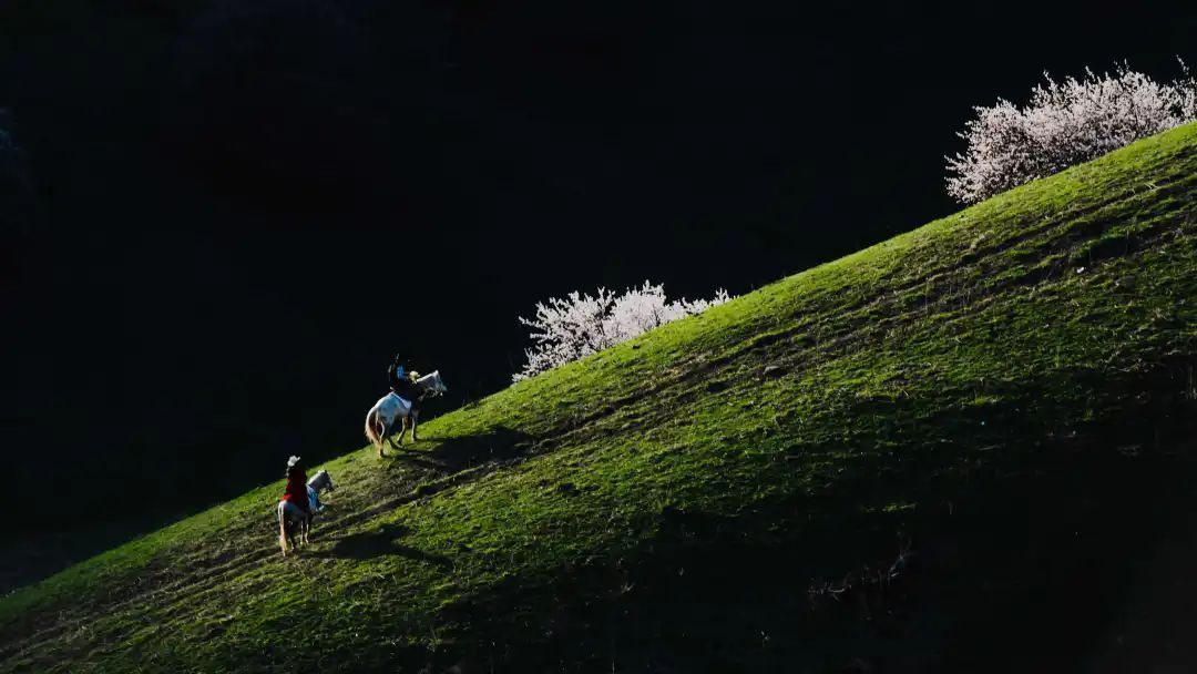 《夕阳》 摄影：肖志林