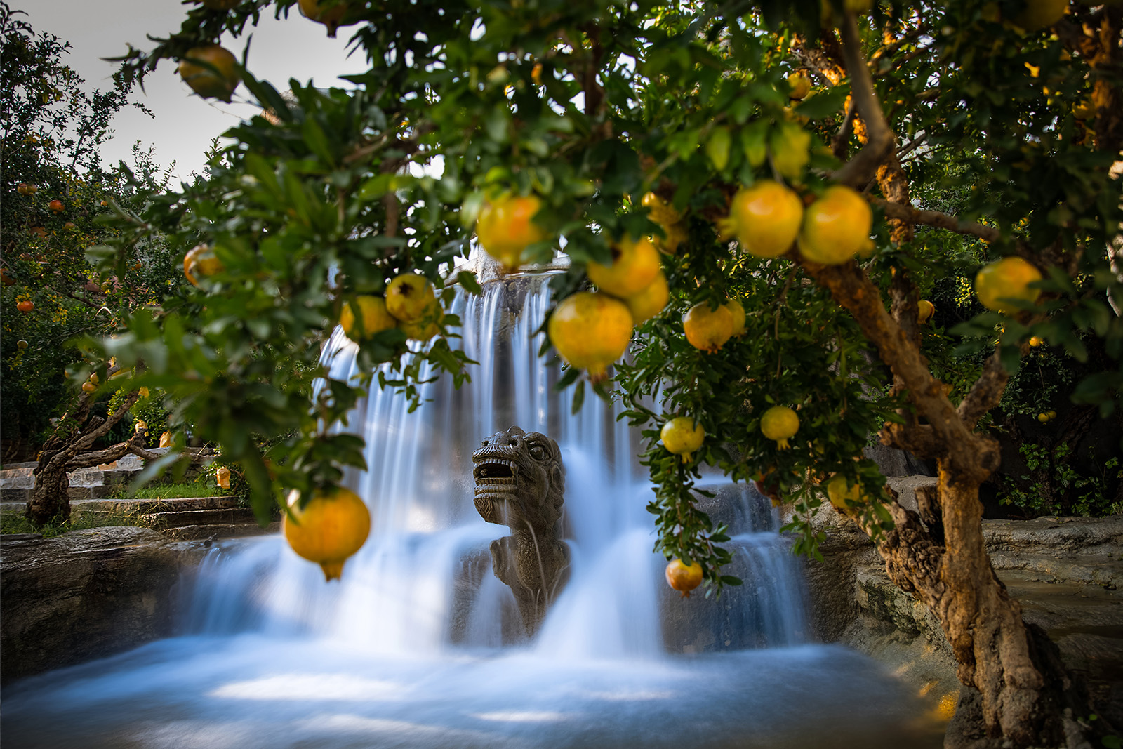 龙泽榴园 25.9拍摄于峄城石榴园.jpg