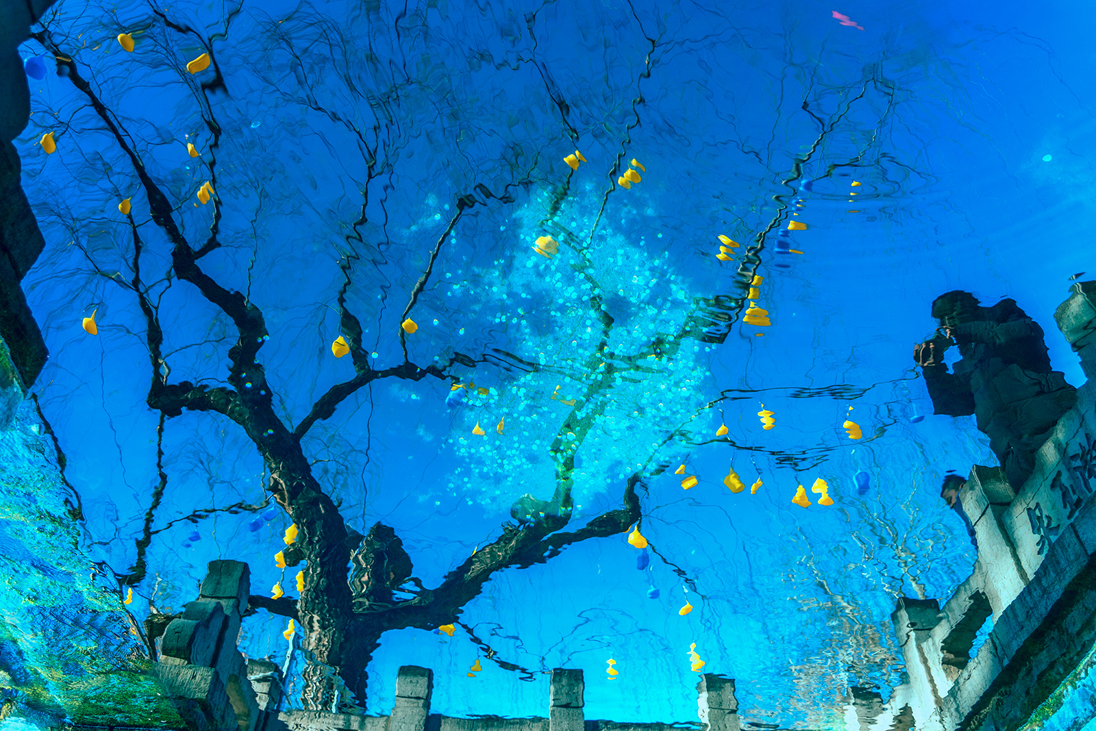 《墨香洒漱玉》臧凤琴 2025.01拍摄于山东济南.jpg