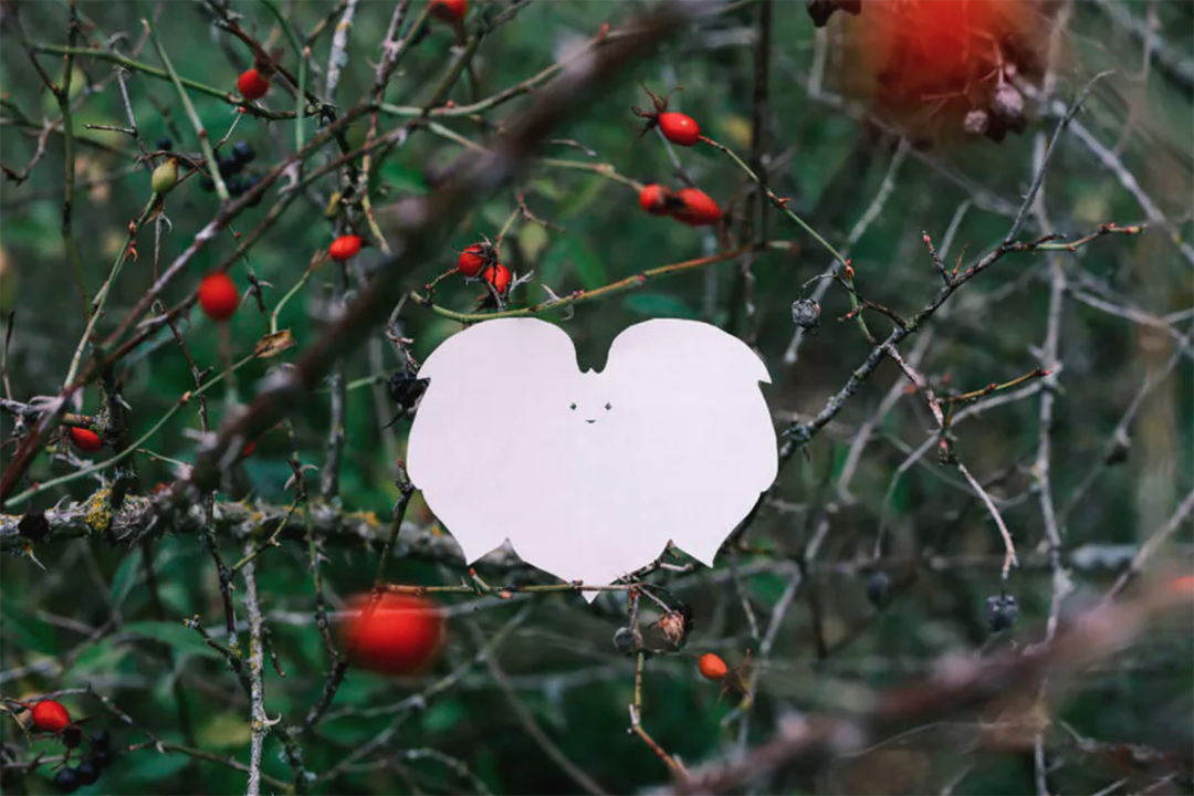 第14届京都国际摄影节(KYOTOGRAPHIE 2026)即将开幕 主题