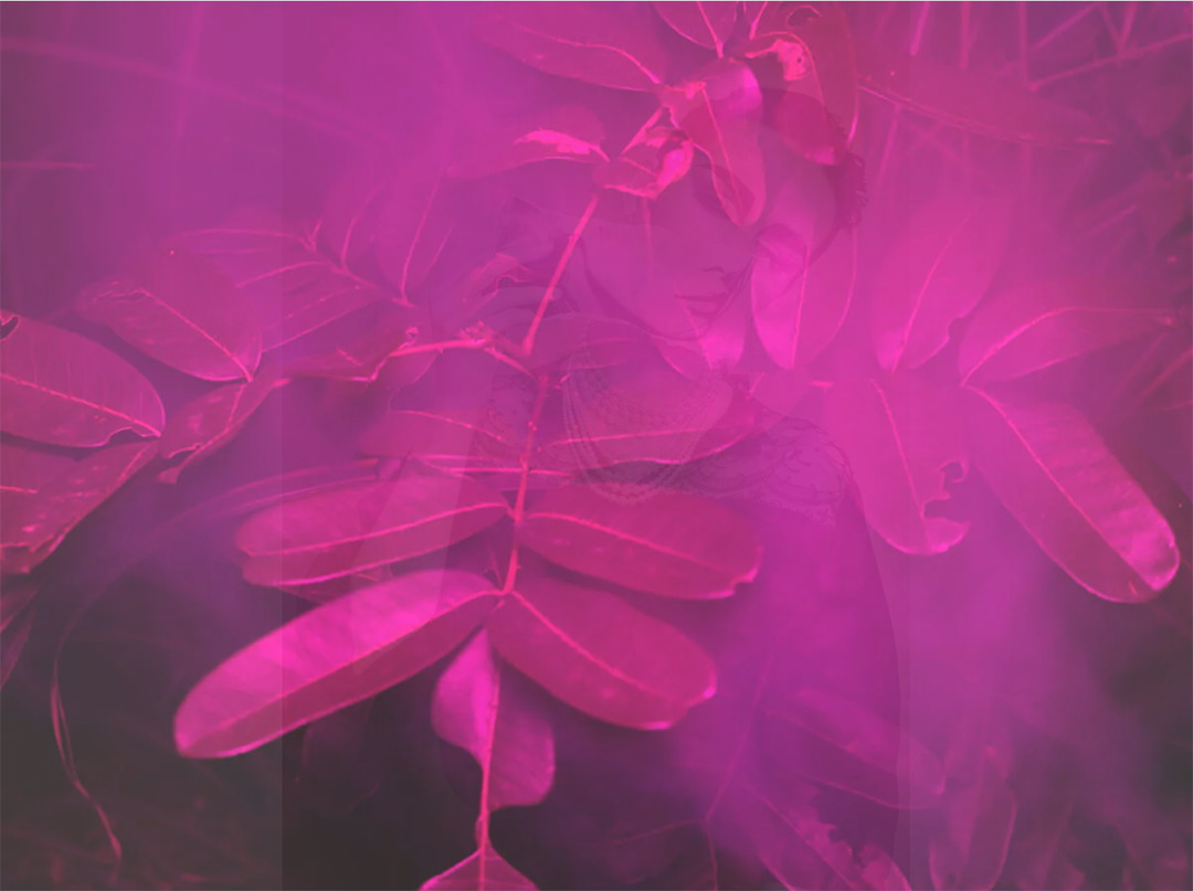 第14届京都国际摄影节(KYOTOGRAPHIE 2026)即将开幕 主题