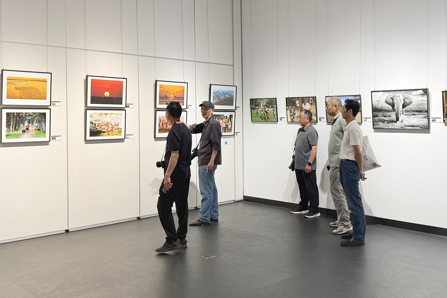 文博聚两河 中非话文明 —— 黄河尼罗河摄影艺术大展今日隆重启幕