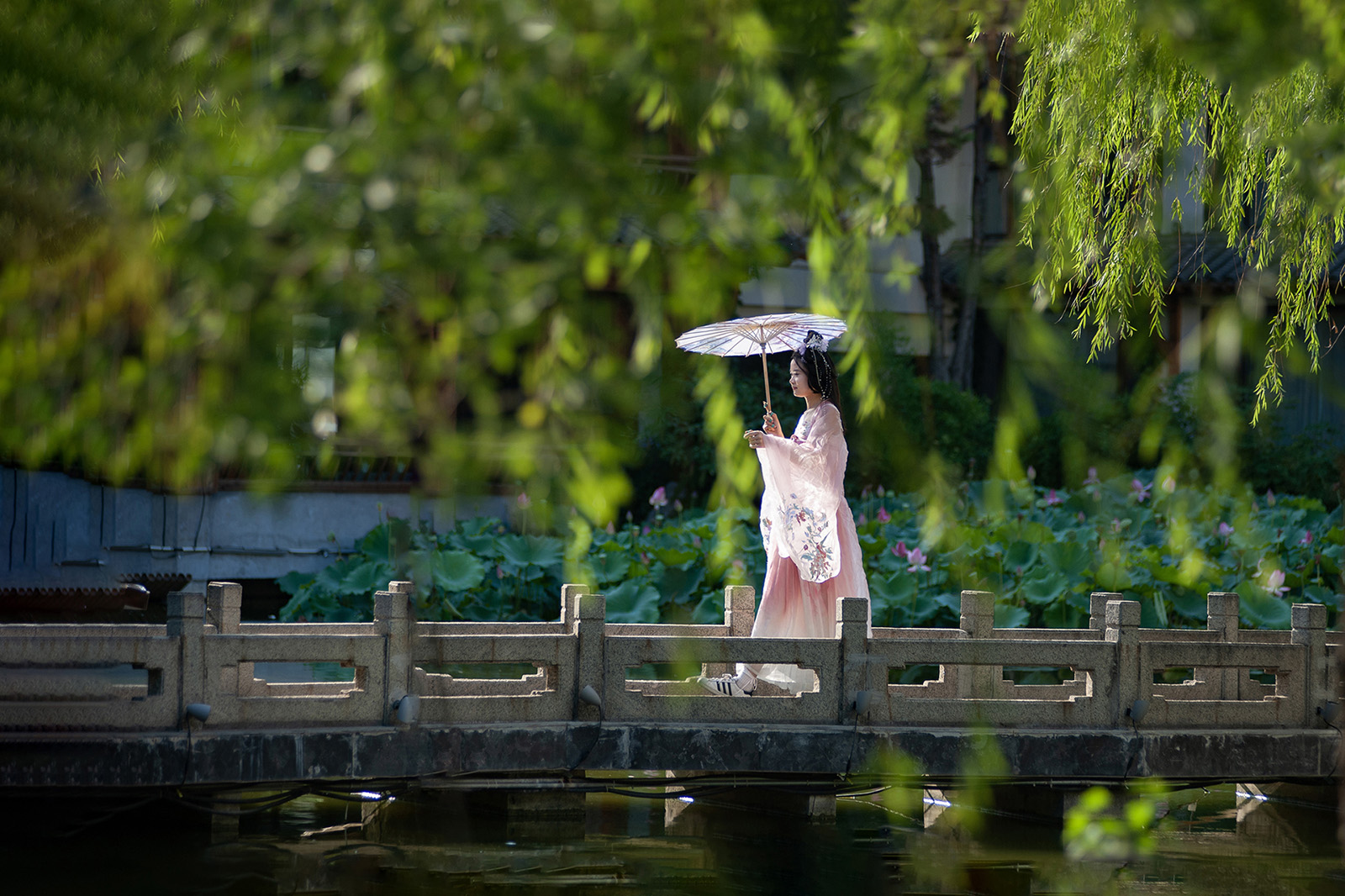 《舜庐漫步》 陈晨.jpg