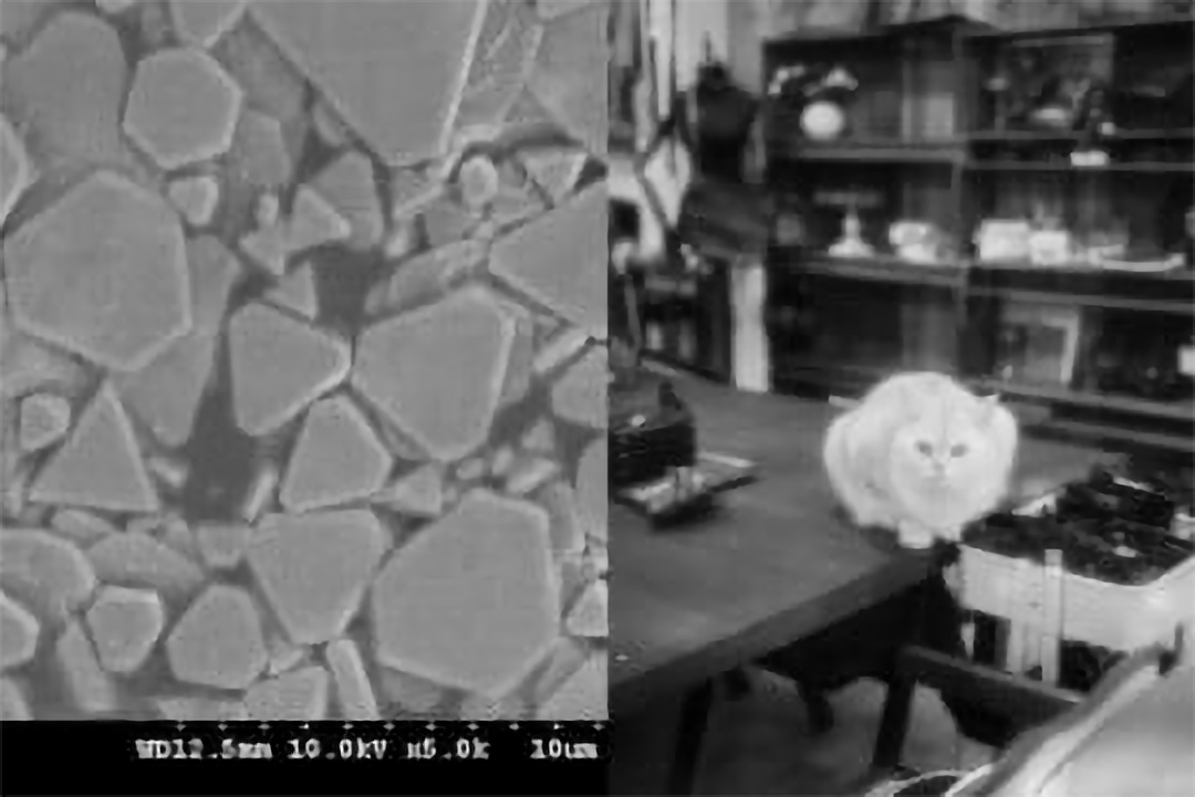 国产 Light Lens Lab 全新手工黑白胶片正式上市,高颗粒强反差影调,补齐数码时代特色银盐胶片空白