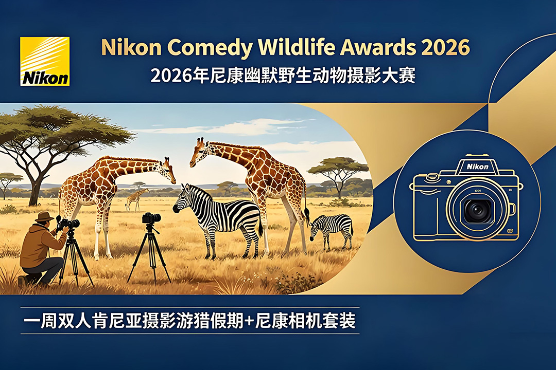 2026 尼康幽默野生动物摄影大赛