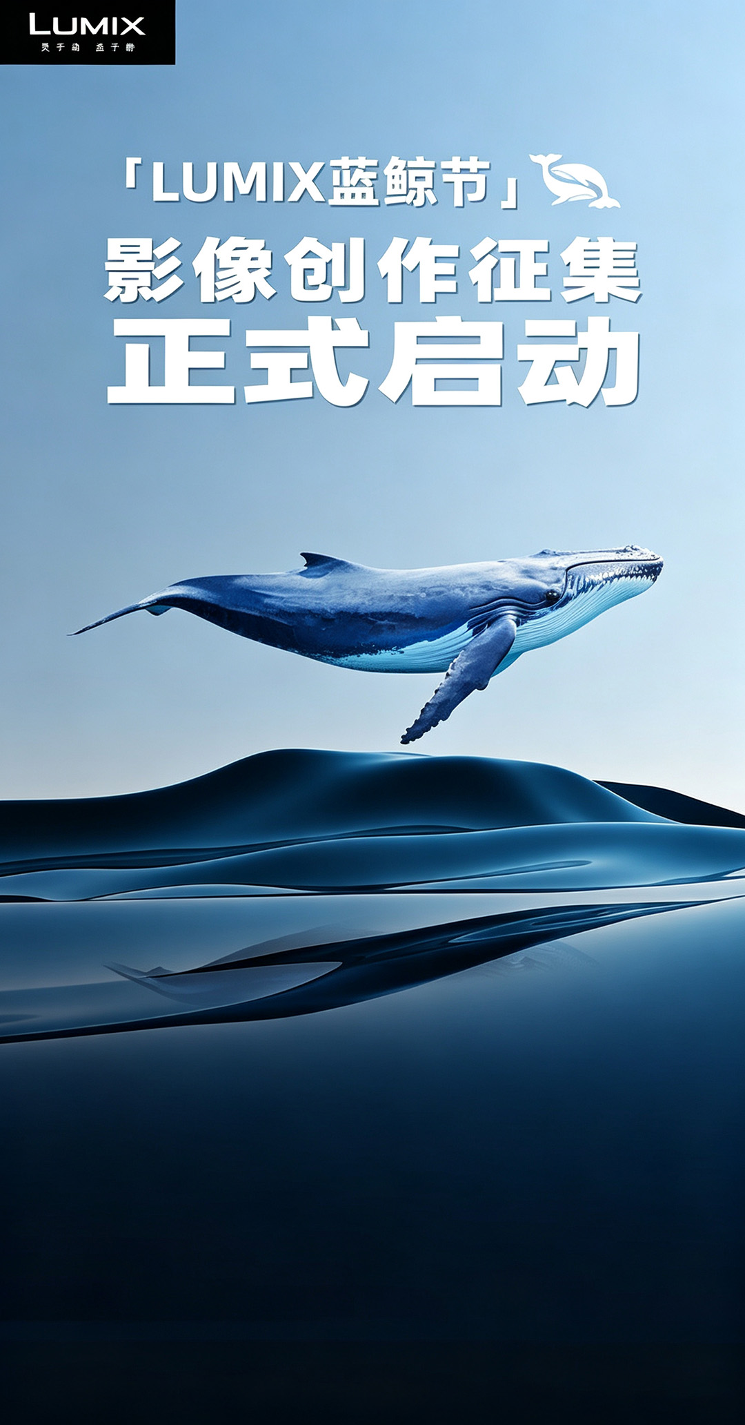 松下 LUMIX 2026 蓝鲸节「日常鲸典」影像大赛正式启动
