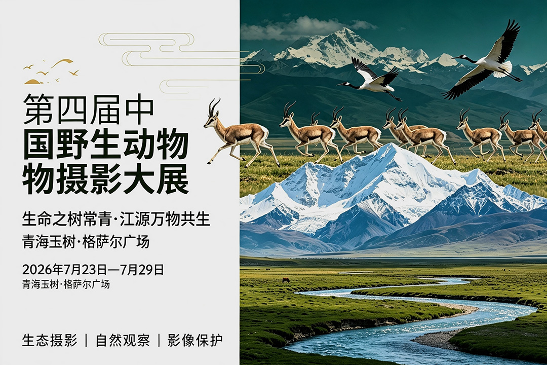 第四届中国野生动物摄影大展迎来收官 江源生态影像盛宴圆满落幕