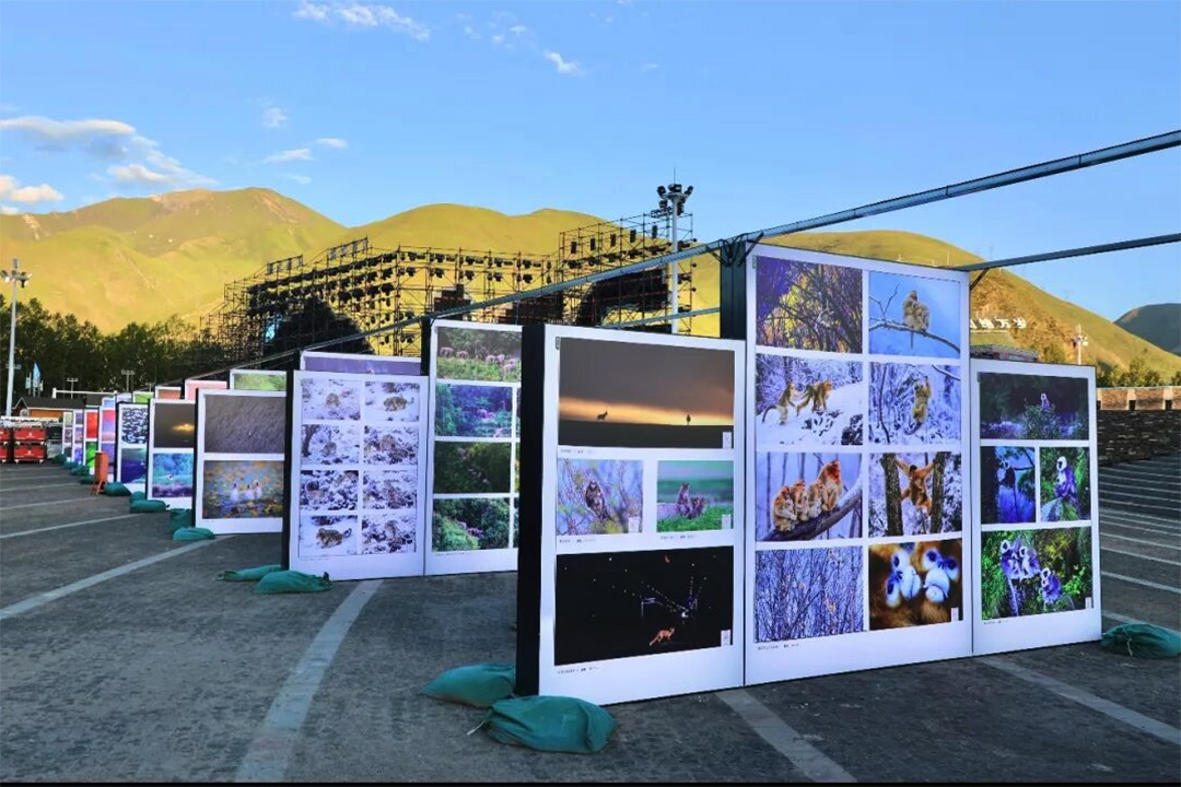 第四届中国野生动物摄影大展迎来收官 江源生态影像盛宴圆满落幕