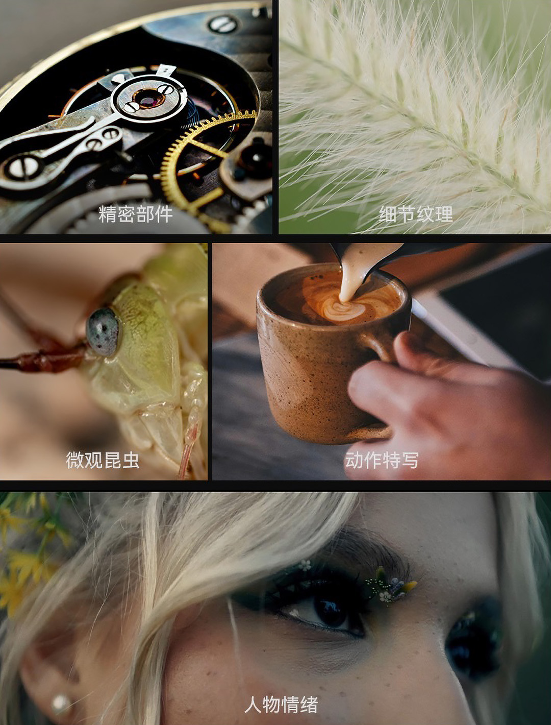 三镜齐发补齐全域影视焦段!思锐幻影系列今日正式发布超广角 / 人像长焦 / 微距电影定焦