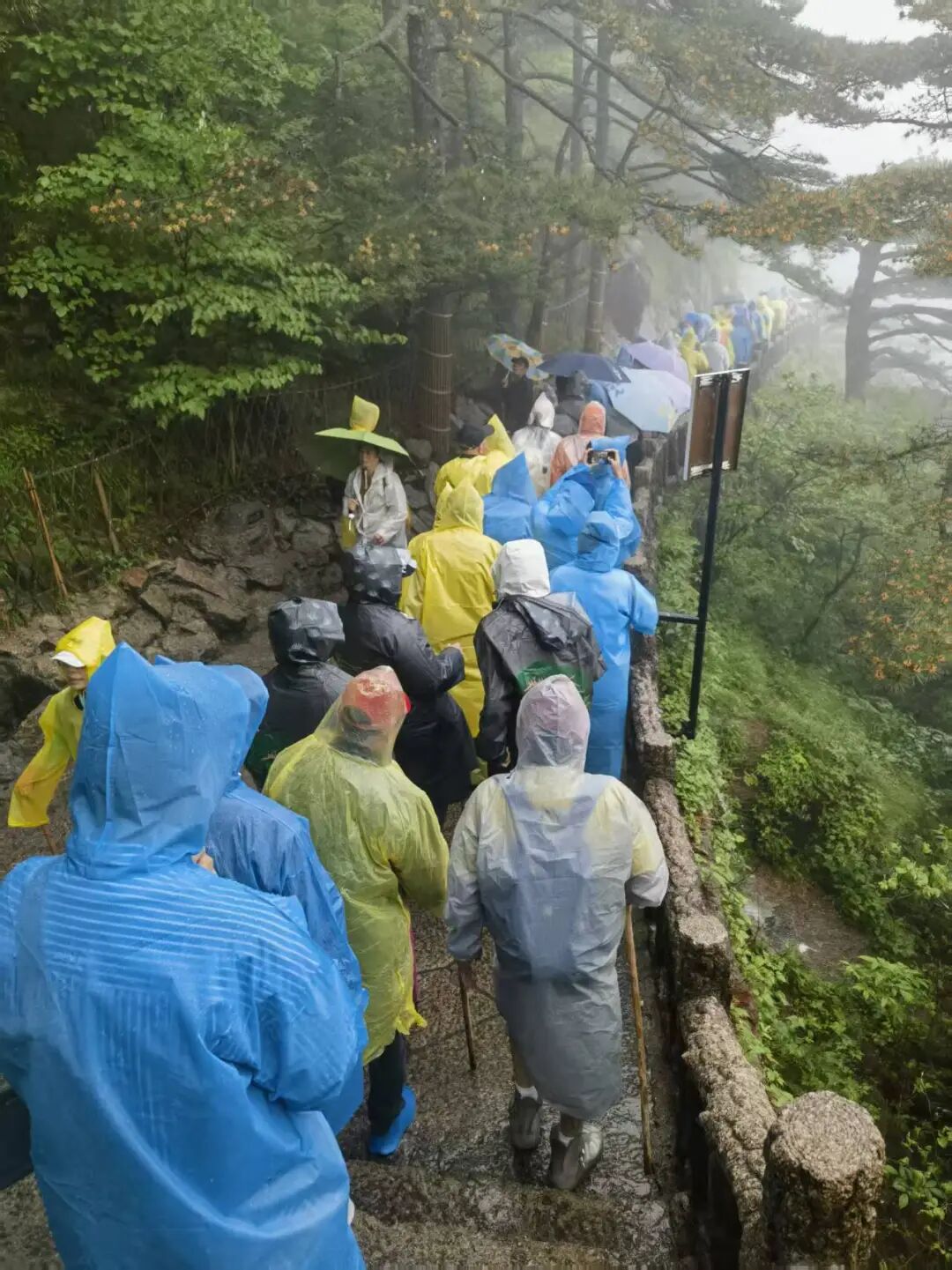 安徽摄影季 在合肥拉开帷幕_东方摄影