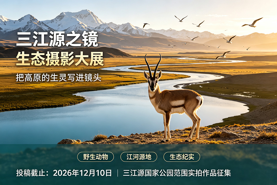 东方摄影|三江源之镜生态摄影大展,高原生态影像征集